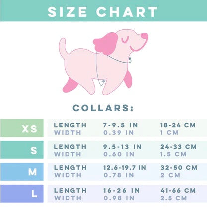 PAWSOME DOG COLLAR - #12